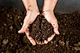 Green Organic Fertilizer
